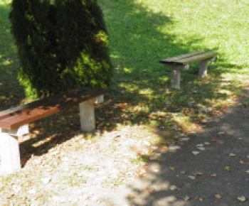 Cintorín:    Oprava oplotenia, výsadba drevín pri ceste, oprava lavičiek, oprava špár na schodoch 